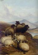 unknow artist Sheep 192 oil painting picture wholesale